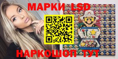 мяу мяу мука Гатчина