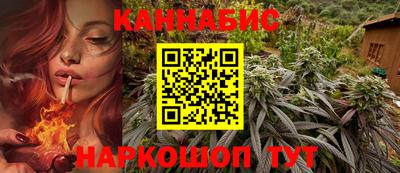 мяу мяу мука Гатчина