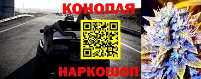 прущий лед Гай